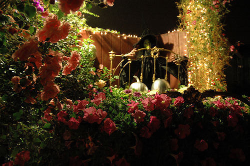 "Bed of Flowers, witch, silver pumpkins, pea flowers, lights, Mill Rose Inn, Half Moon Bay, California, USA" by Wonderlane
